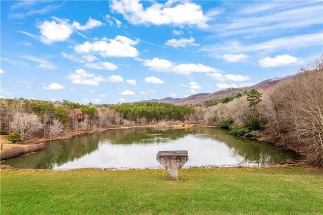 property view of water featuring a mountain view