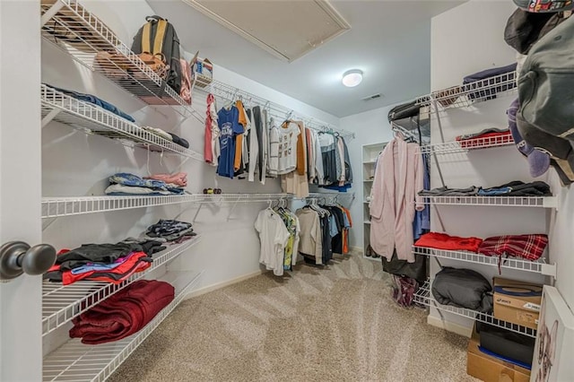 walk in closet with visible vents, attic access, and carpet floors