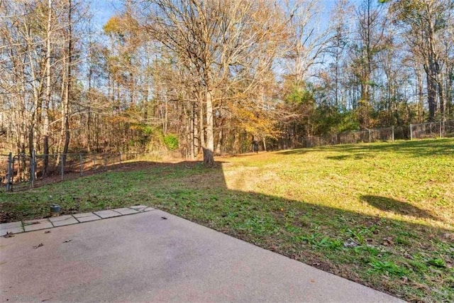 view of yard featuring a patio