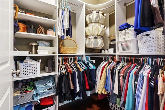 view of spacious closet