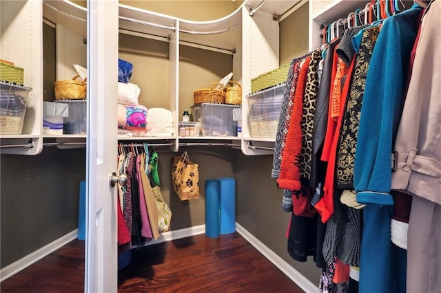 spacious closet with hardwood / wood-style floors