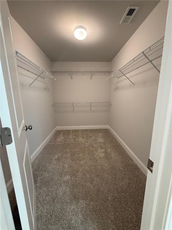 4266 Mulberry Pass Ct, Hoschton, GA 30548 - spacious closet featuring carpet