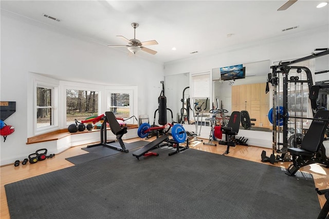 104 Aspen Dr NE, Calhoun, GA 30701 - exercise room featuring ceiling fan, crown molding, wood finished floors, recessed lighting, and baseboards