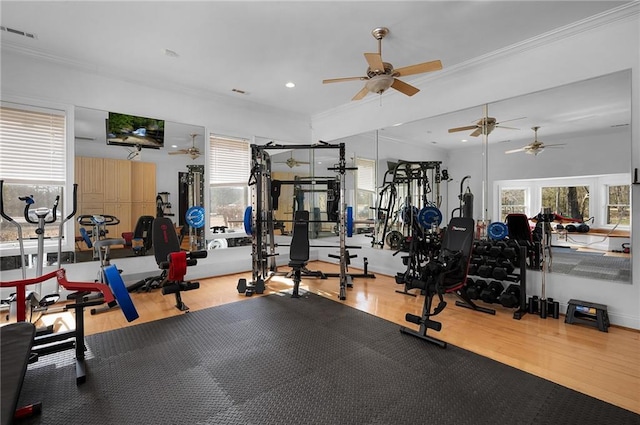 104 Aspen Dr NE, Calhoun, GA 30701 - gym featuring ceiling fan, ornamental molding, wood finished floors, and recessed lighting