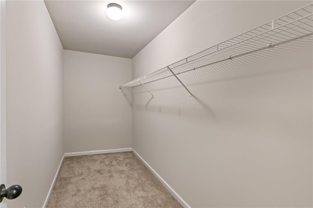 walk in closet with carpet