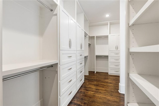 walk in closet with dark hardwood / wood-style floors