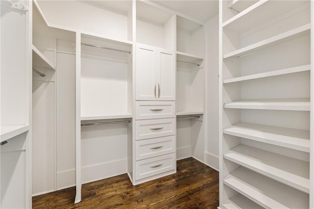 spacious closet with dark hardwood / wood-style floors