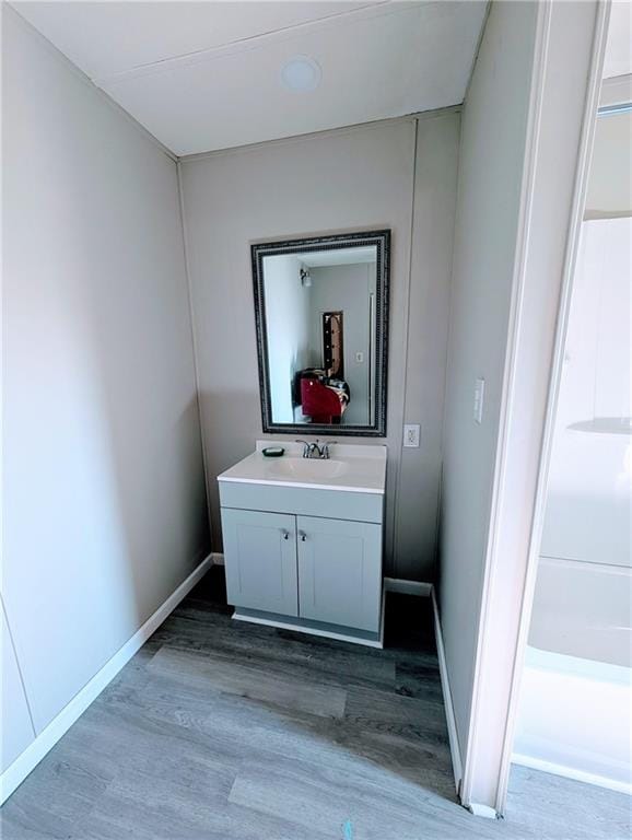 bathroom featuring wood-type flooring and vanity