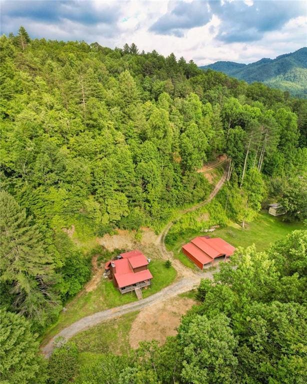 drone / aerial view with a view of trees and a mountain view