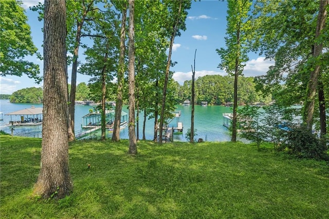 property view of water with a boat dock