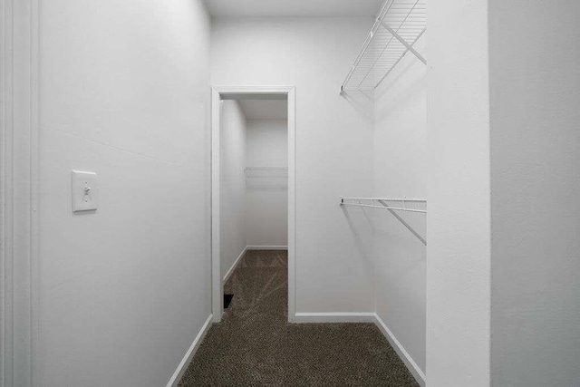 1460 Bakers Bridge Rd, Douglasville, GA 30134 - walk in closet featuring carpet floors