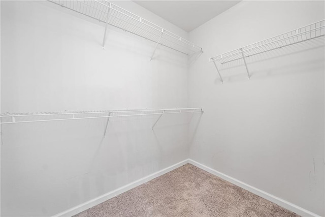 181 Ridgemont Rd, Canton, GA 30114 - spacious closet with carpet flooring