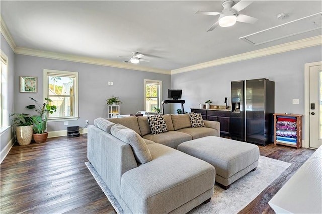 living area featuring dark wood-style floors, plenty of natural light, a ceiling fan, and crown molding