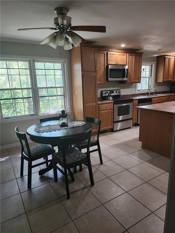 kitchen with sink, appliances with stainless steel finishes, a healthy amount of sunlight, and ceiling fan