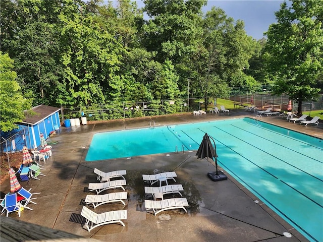 view of pool featuring a storage shed and a patio