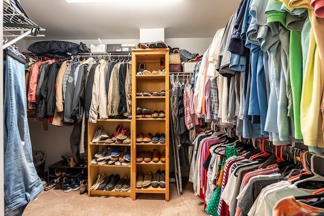 spacious closet with light colored carpet