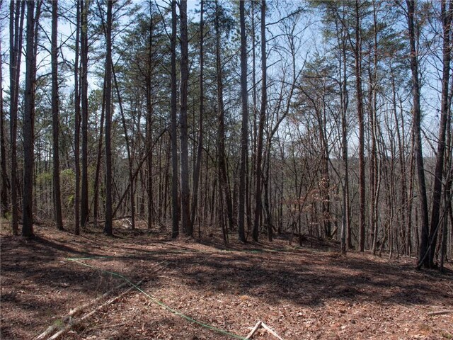 view of local wilderness with a wooded view