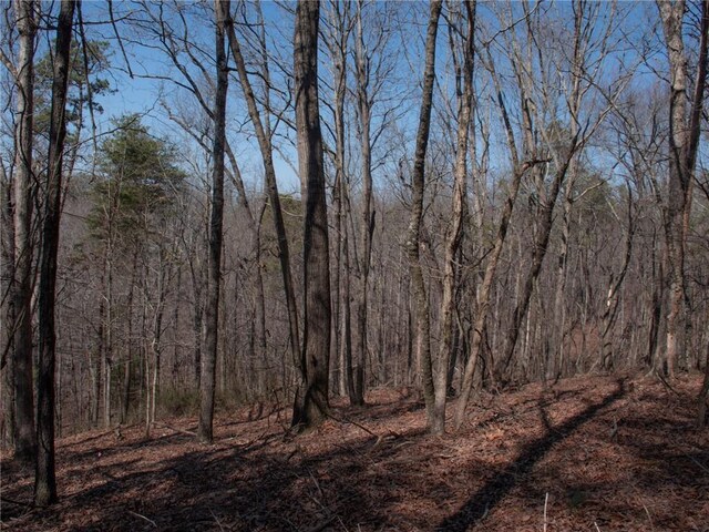 view of nature with a view of trees