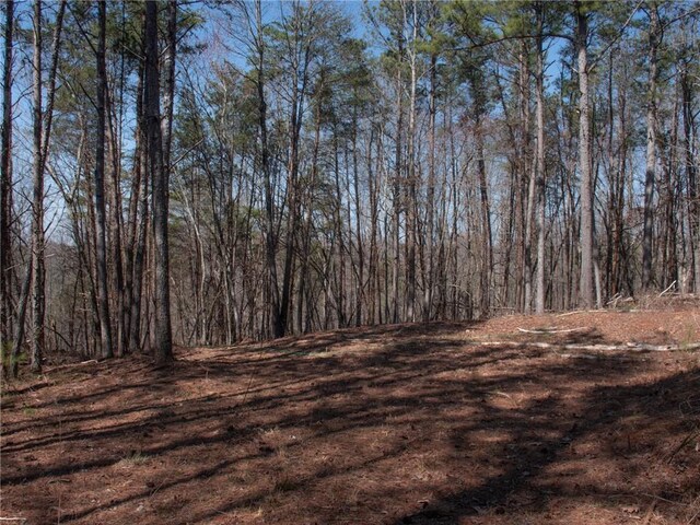 view of local wilderness