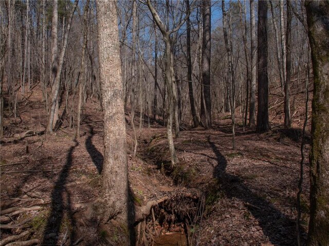 view of landscape featuring a wooded view