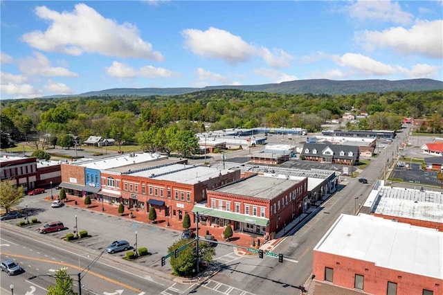 drone / aerial view with a view of trees and a mountain view