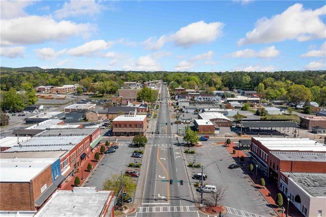 drone / aerial view