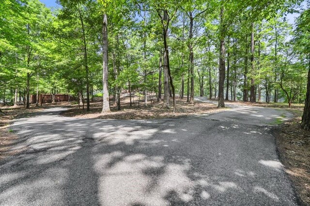 4043 Piedmont Lake Rd, Pine Mountain, GA 31822 - view of road