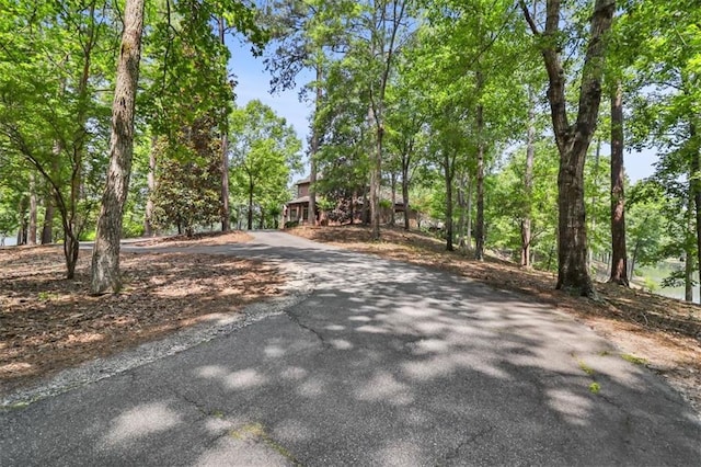4043 Piedmont Lake Rd, Pine Mountain, GA 31822 - view of asphalt driveway
