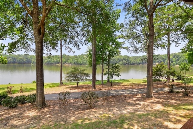 4043 Piedmont Lake Rd, Pine Mountain, GA 31822 - water view