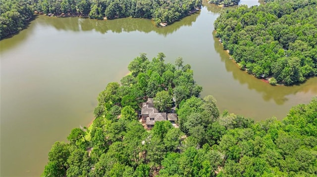 4043 Piedmont Lake Rd, Pine Mountain, GA 31822 - aerial view of a nearby body of water and a heavily wooded area