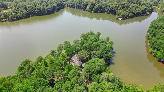 4043 Piedmont Lake Rd, Pine Mountain, GA 31822 - aerial view of a heavily wooded area and a nearby body of water