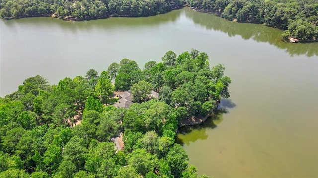 4043 Piedmont Lake Rd, Pine Mountain, GA 31822 - aerial view of property's location with a large body of water and a heavily wooded area