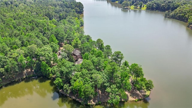4043 Piedmont Lake Rd, Pine Mountain, GA 31822 - bird's eye view of a large body of water and a forest