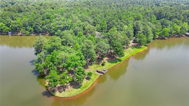4043 Piedmont Lake Rd, Pine Mountain, GA 31822 - bird's eye view of a forest and a large body of water