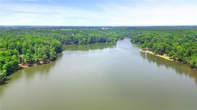 4043 Piedmont Lake Rd, Pine Mountain, GA 31822 - bird's eye view of a heavily wooded area and a nearby body of water