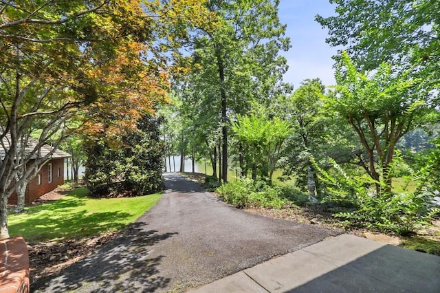 4043 Piedmont Lake Rd, Pine Mountain, GA 31822 - view of asphalt driveway