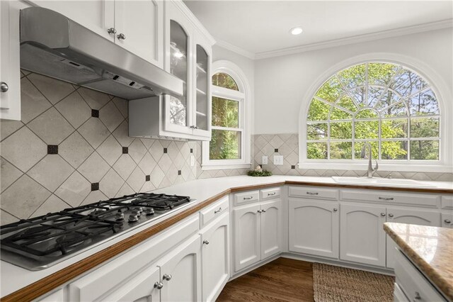3260 Kingshouse Commons, Johns Creek, GA 30022 - kitchen featuring under cabinet range hood, stainless steel gas cooktop, plenty of natural light, light countertops, and crown molding