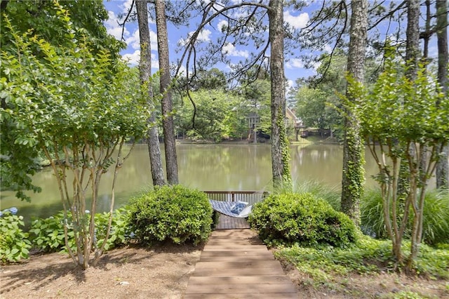 3260 Kingshouse Commons, Johns Creek, GA 30022 - surrounding community featuring a water view