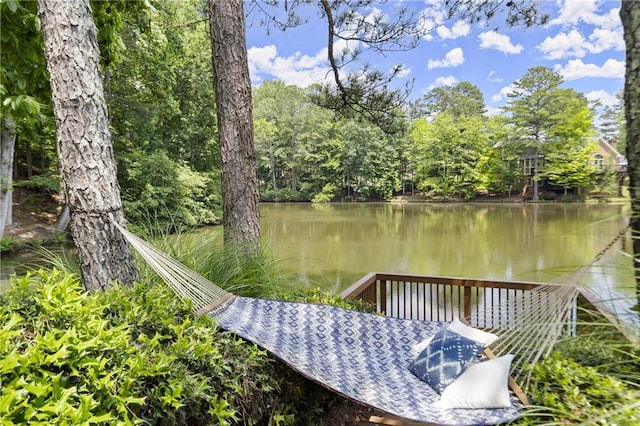 3260 Kingshouse Commons, Johns Creek, GA 30022 - water view