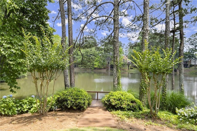 3260 Kingshouse Commons, Johns Creek, GA 30022 - water view