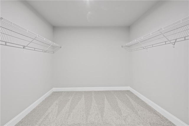 313 Foxglove Way, Mcdonough, GA 30253 - spacious closet with carpet floors