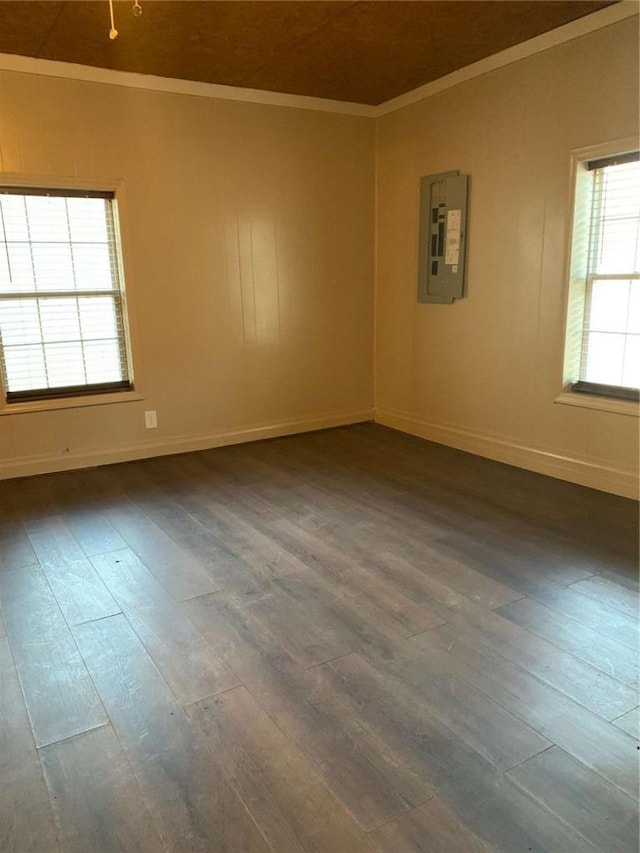 spare room with crown molding, electric panel, baseboards, and dark wood-type flooring