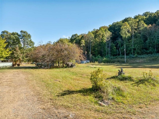 view of yard featuring a rural view