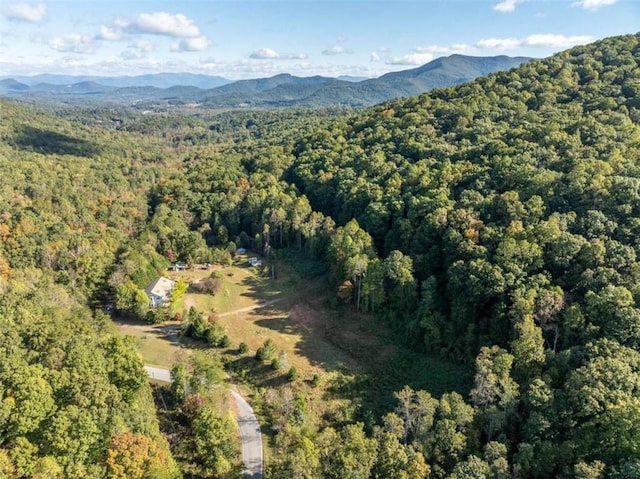 drone / aerial view featuring a mountain view