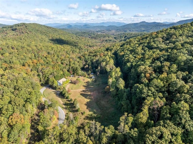 birds eye view of property with a mountain view