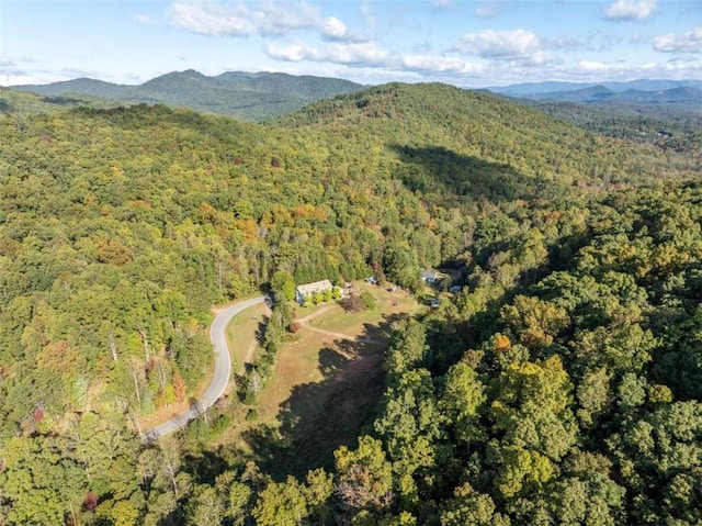 drone / aerial view featuring a mountain view