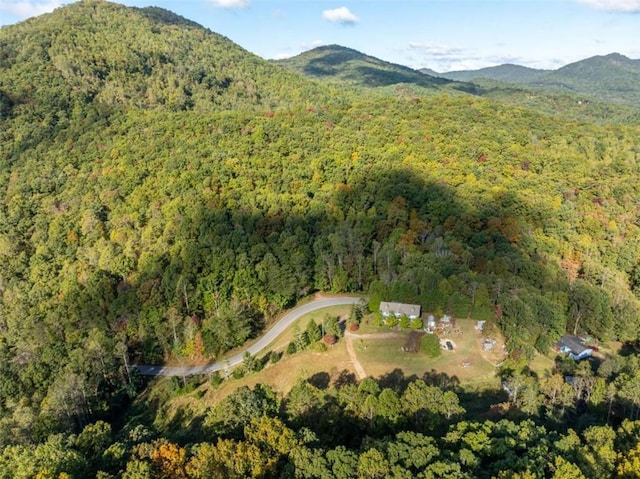 bird's eye view with a mountain view