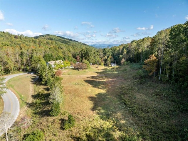 bird's eye view with a mountain view