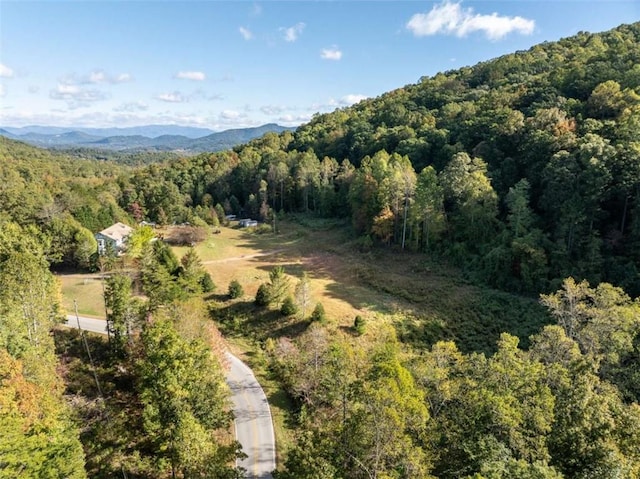 bird's eye view featuring a mountain view