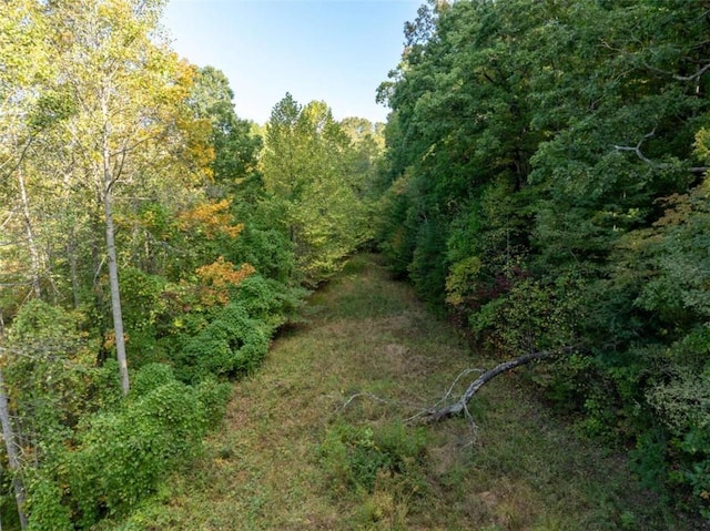 view of local wilderness